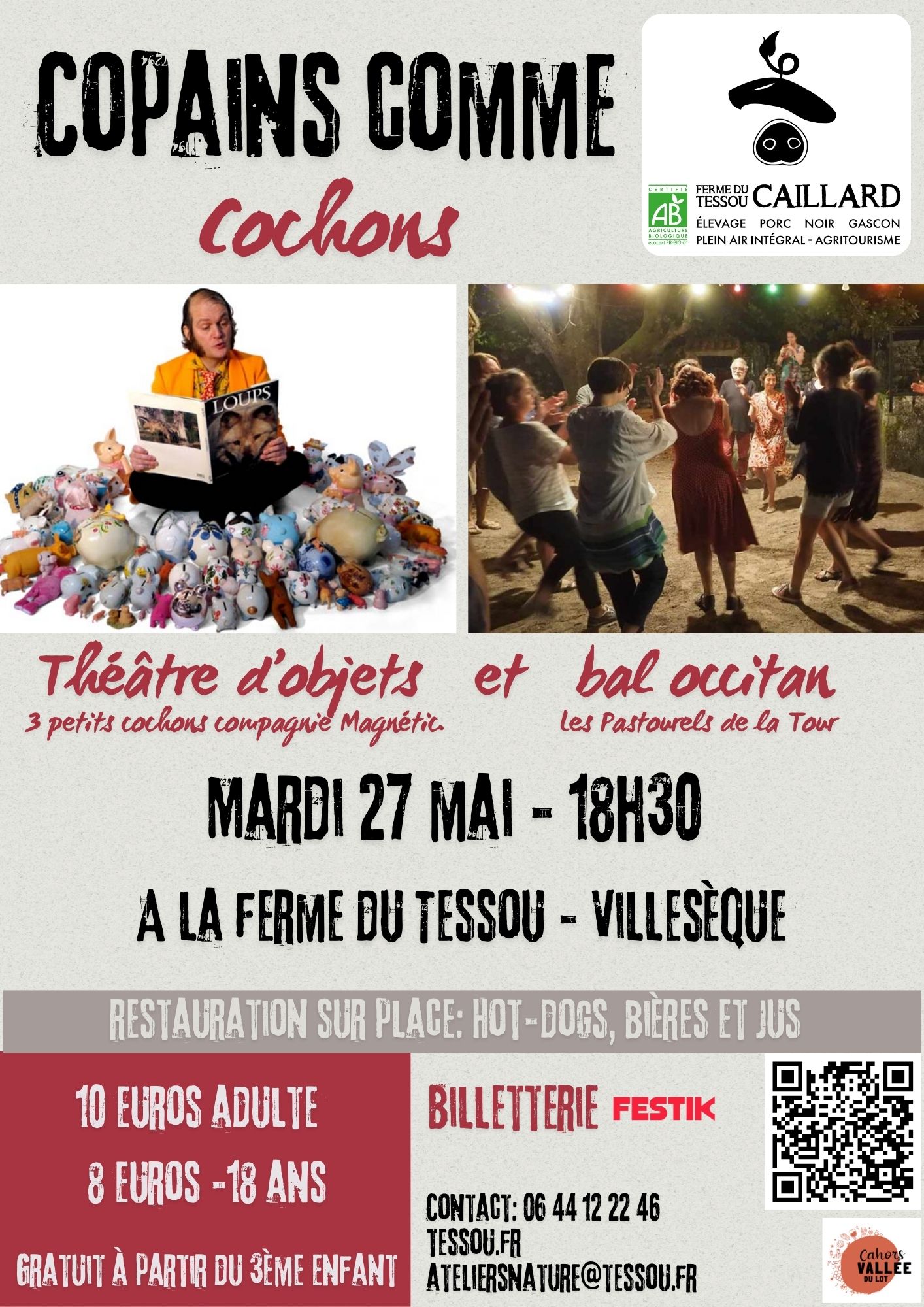 affiche_copains.jpg