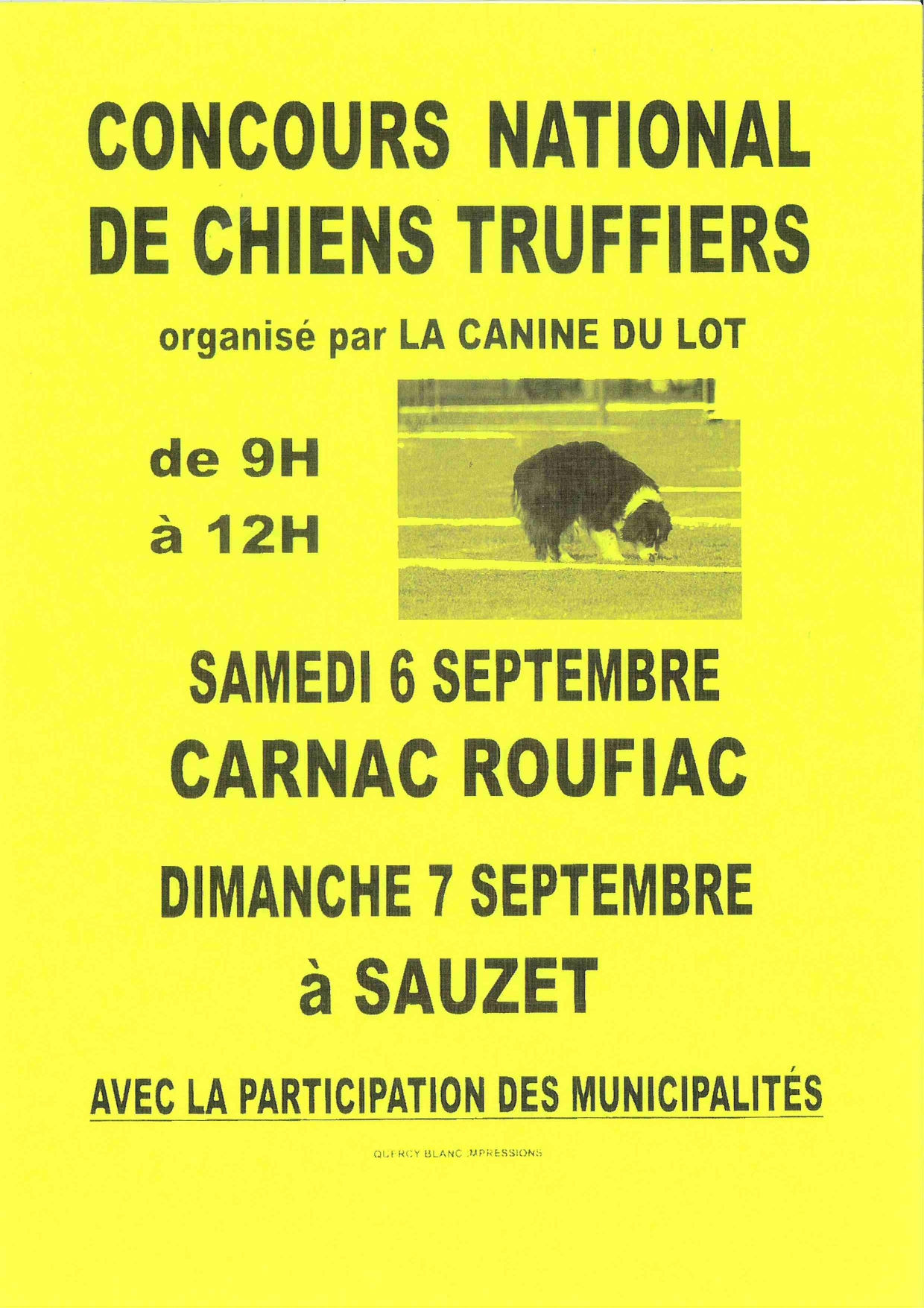 chiens_truffiers.jpg